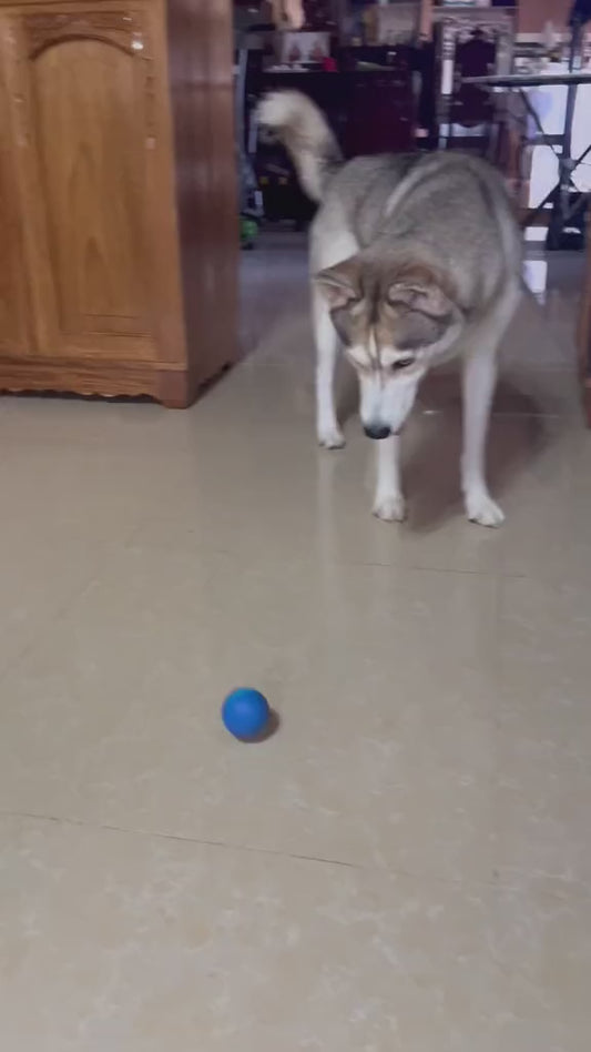 PELOTA INTELIGENTE  PARA MASCOTAS